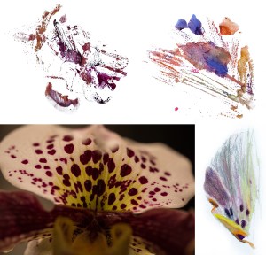 Karolina Laskowska graduate collection sketchbook 1