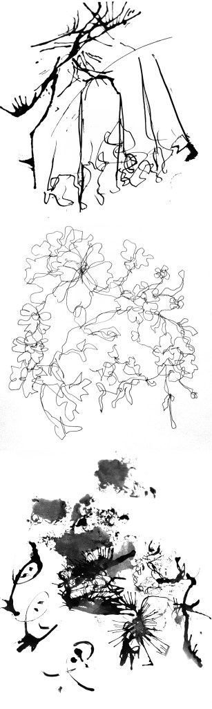 Somewhat impressionistic studies of antique laces